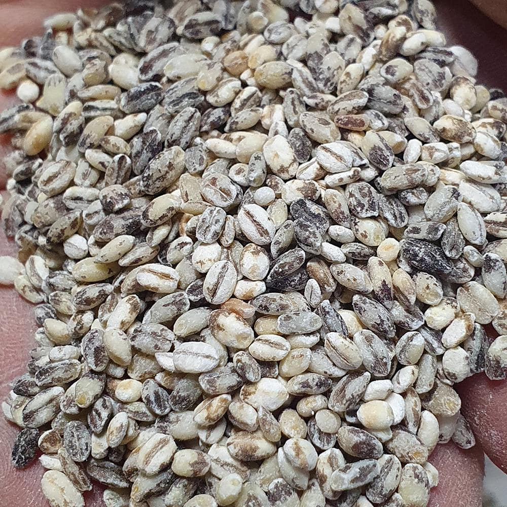 (Sandeulbaram) Organic Black Barley Rice Glutinous Barley 1kg
